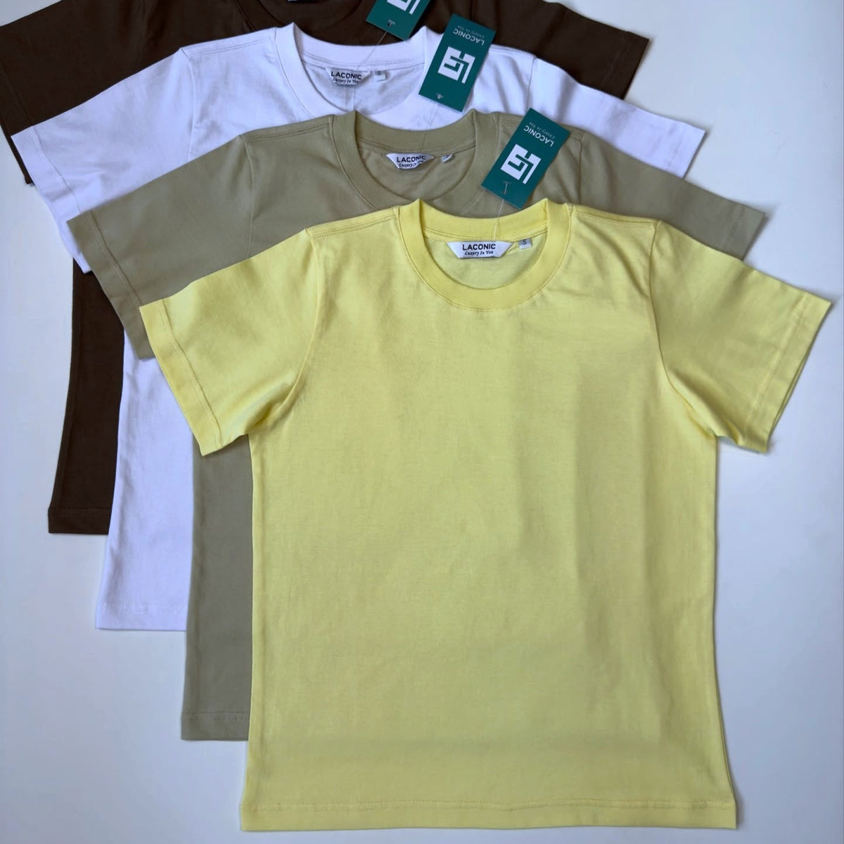 Basic Regular Fit T - Shirt