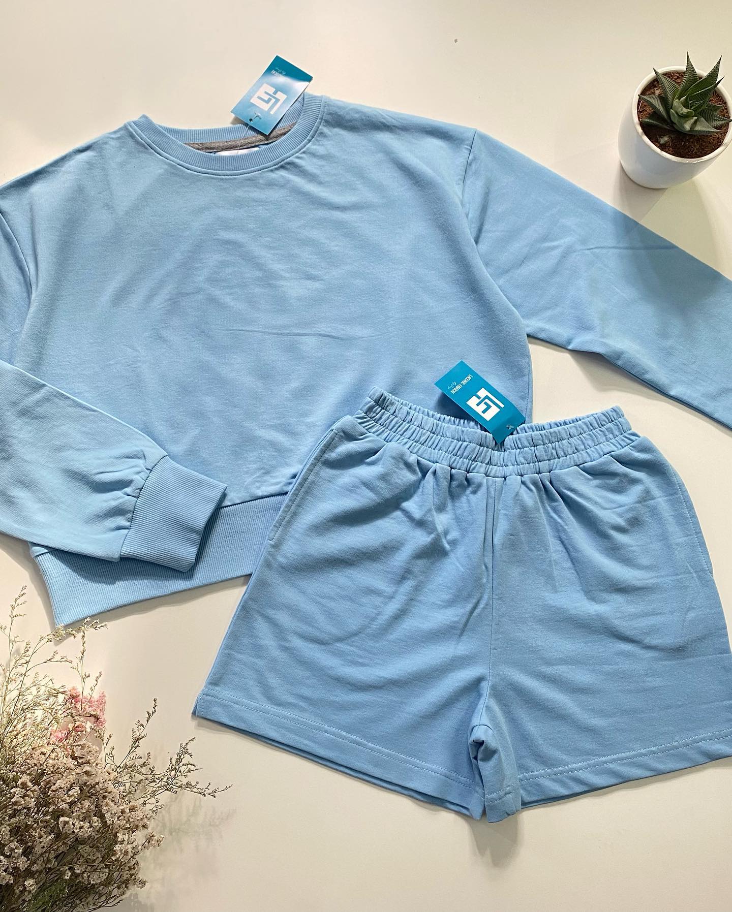 Basic Over-sized Cropped Sweatshirt and Loose Fit Shorts Set